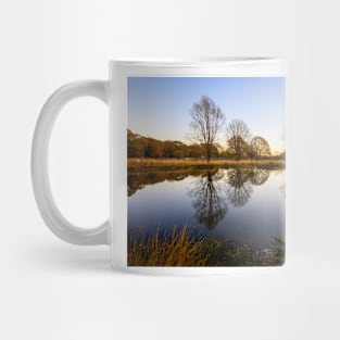 Richmond Park Morning Mug